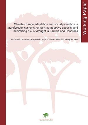Climate change adaptation and social protection in agroforestry systems: enhancing adaptive capacity and minimizing risk of drought in Zambia and Honduras