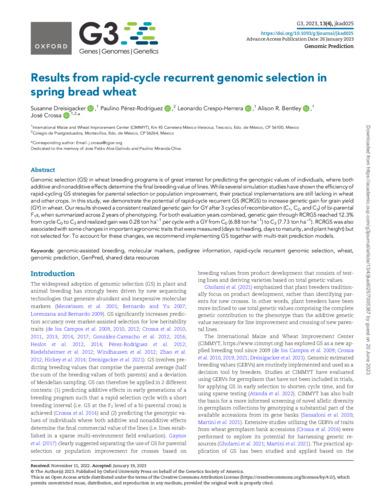 Results from rapid-cycle recurrent genomic selection in spring bread wheat