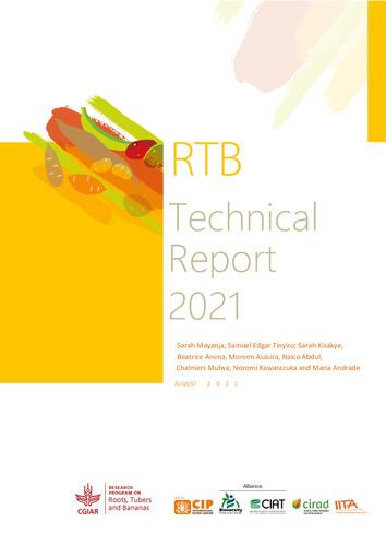Gender Food Mapping for Boiled Sweetpotato in Mozambique. RTB Technical Report