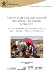 A review of Ethiopia small ruminant value chains from a gender perspective