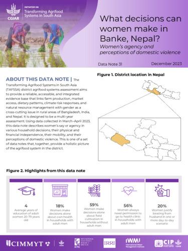 What decisions can women make in Banke, Nepal? Women’s agency and perceptions of domestic violence