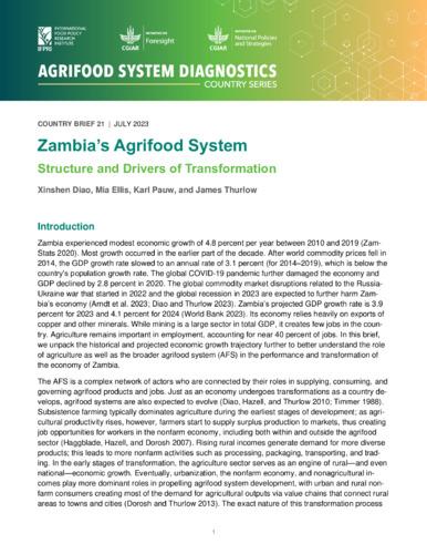 Zambia’s agrifood system structure and drivers of transformation