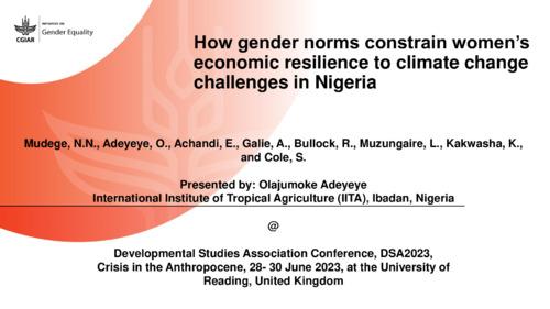How gender norms constrain women’s  economic resilience to climate change challenges in Nigeria