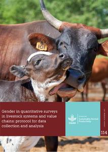 Gender in quantitative surveys in livestock systems and value chains: Protocol for data collection and
analysis