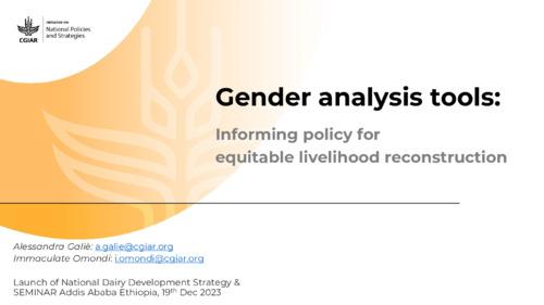Gender analysis tools: Informing policy for  equitable livelihood reconstruction