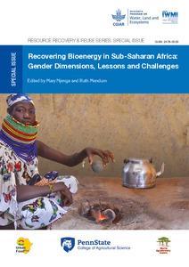 Recovering bioenergy in Sub-Saharan Africa: gender dimensions, lessons and challenges