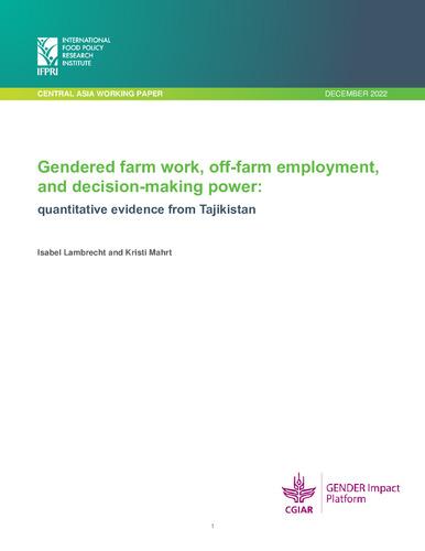 Gendered farm work, off-farm employment, and decision-making power: Quantitative evidence from Tajikistan