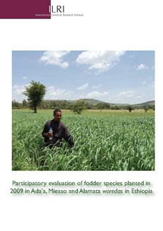 Participatory evaluation of planted forages in Ada’a, Miesso and Alamata woredas of Ethiopia