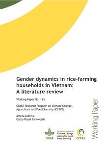 Gender dynamics in rice-farming households in Vietnam: A literature review