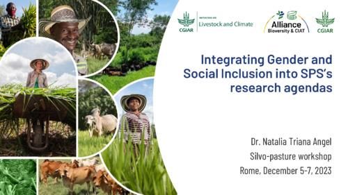 Integrating gender and social inclusion into SPS’s research agendas