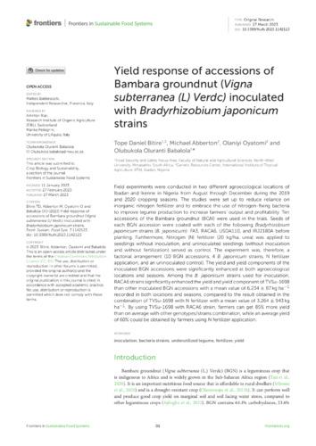 Yield response of accessions of Bambara groundnut (Vigna subterranea (L) Verdc) inoculated with Bradyrhizobium japonicum strains