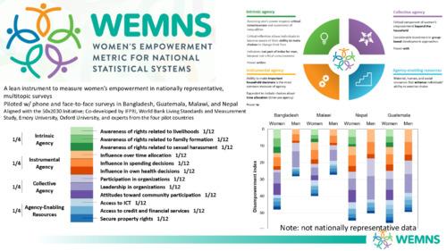 Women's Empowement Metric for National Statistical Systems (WEMNS): A lean instrument to measure women’s empowerment in nationally representative, multitopic surveys