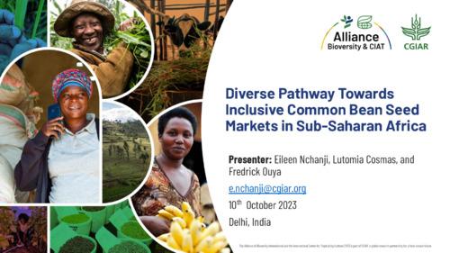 Diverse Pathway Towards Inclusive Common Bean Seed Markets in Sub-Saharan Africa