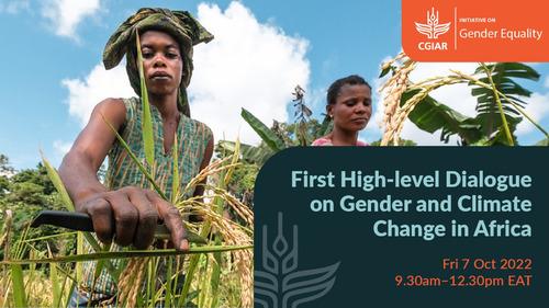 HER+ Harnessing gender and social equality for resilience in agrifood systems