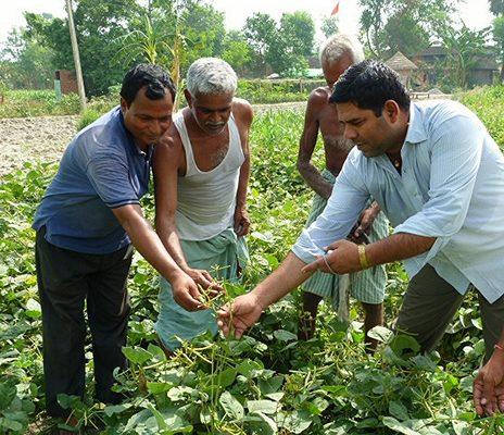 Farmers' Field Day in Vaishali, Bihar in India