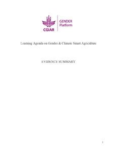 Learning Agenda on Gender and Climate Smart Agriculture: Evidence Summary