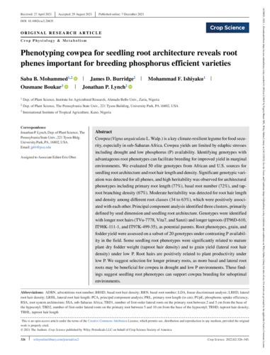 Phenotyping cowpea for seedling root architecture reveals root phenes important for breeding phosphorus efficient varieties