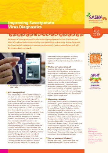 Improving sweetpotato virus diagnostics