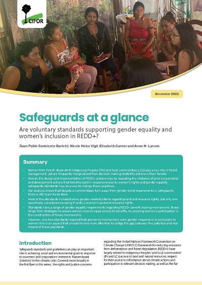 Safeguards at a glance: Are voluntary standards supporting gender equality and women’s inclusion in REDD+?