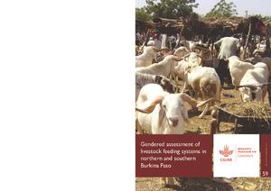 Gendered assessment of livestock feeding systems in northern and southern Burkina Faso