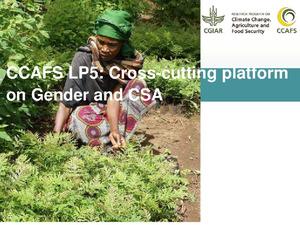 Climate Change Agriculture and Food Security Learning Platform 5: cross-cutting platform on gender and climate-smart agriculture