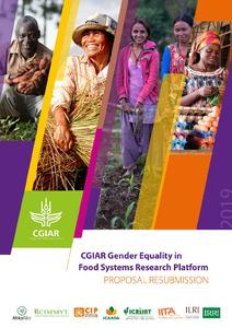 CGIAR Gender Equality in Food Systems Research Platform Proposal Resubmission