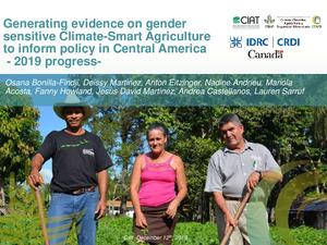 Generating evidence on gender-sensitive climate-smart agriculture to inform policy in Central America: Presentation for the 2019 Project progress update to IDRC