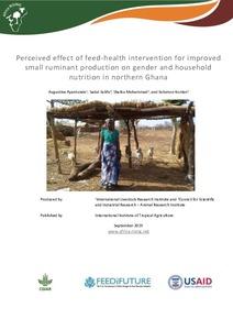 Perceived effect of feed-health intervention for improved small ruminant production on gender and household nutrition in northern Ghana