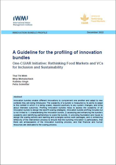 A guideline for the profiling of innovation bundles