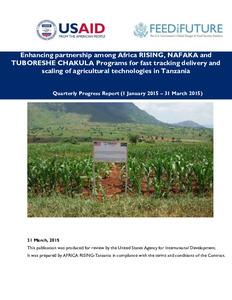 Enhancing partnership among Africa RISING, NAFAKA and TUBORESHE CHAKULA Programs for fast tracking delivery and scaling of agricultural technologies in Tanzania: Quarterly progress report (1 January 2015 - 31 March 2015)