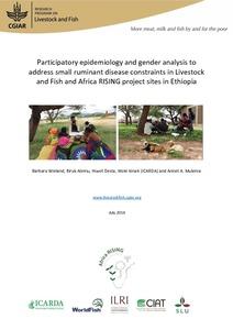 Participatory epidemiology and gender analysis to address small ruminant disease constraints in Livestock and Fish and Africa RISING project sites in Ethiopia