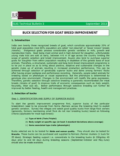 Buck selection for goat breed improvement