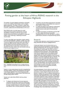 Putting gender at the heart of Africa RISING research in the Ethiopian Highlands