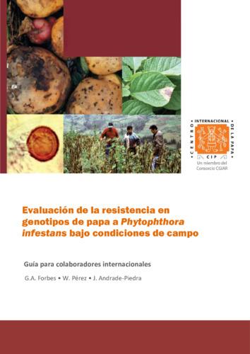 Evaluación de la resistencia en genotipos de papa a Phytophthora infestans bajo condiciones de campo: Guía para colaboradores internacionales