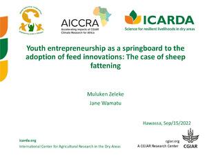 Youth entrepreneurship as a springboard to the adoption of feed innovations: The case of sheep fattening