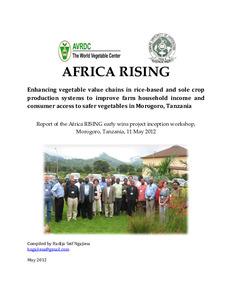 Enhancing vegetable value chains in rice-based and sole crop production systems to improve farm household income and consumer access to safer vegetables in Morogoro, Tanzania: Report of the Africa RISING early wins project inception workshop, Morogoro, Tanzania, 11 May 2012