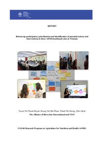 Bottom-up participatory prioritization and identification of potential actions and interventions in three A4NH benchmark sites in Vietnam