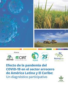 Efecto de la pandemia del COVID-19 en el sector arrocero de América Latina y El Caribe: Un diagnóstico participativo