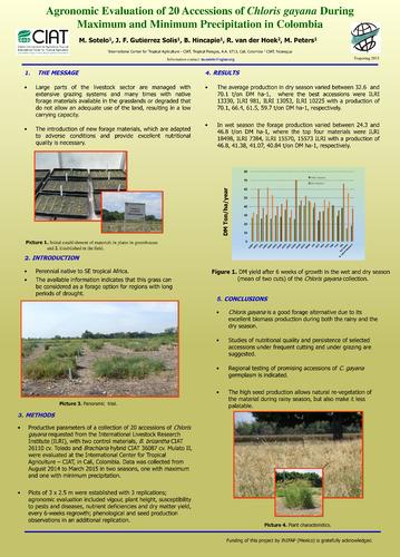 Agronomic evaluation of 20 accessions of Chloris gayana during maximum and minimum precipitation in Colombia