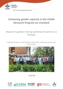 Enhancing gender capacity in the CGIAR Research Program on Livestock: Report of a Gender Training Workshop for partners in Ethiopia
