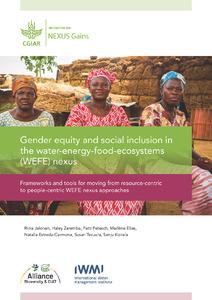 Gender equity and social inclusion in the water-energy-food-ecosystems (WEFE) nexus: Frameworks and tools for moving from resource-centric to people-centric WEFE nexus approaches