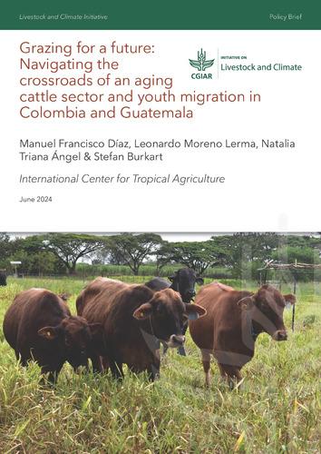 Grazing for a future: Navigating the crossroads of an aging cattle sector and youth migration in Colombia and Guatemala