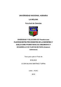 Diversidad y selección de Pseudomonas fluorescentes provenientes de rizosfera y suelo como promotoras de crecimiento y desarrollo de plantas de papa (Solanum tuberosum)