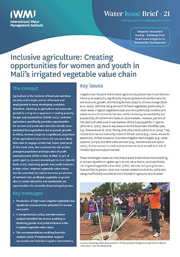 Inclusive agriculture: creating opportunities for women and youth in Mali’s irrigated vegetable value chain