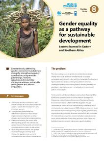 Gender equality as a pathway for sustainable development: Lessons learned in Eastern and Southern Africa