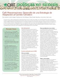 Café Mesoamericano: desarrollo de una estrategia de adaptación al cambio climático