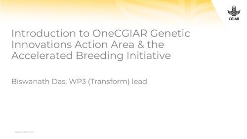 Introduction to OneCGIAR Genetic Innovations Action Area & the Accelerated Breeding Initiative