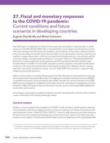 Fiscal and monetary responses to the COVID-19 pandemic: Current conditions and future scenarios in developing countries