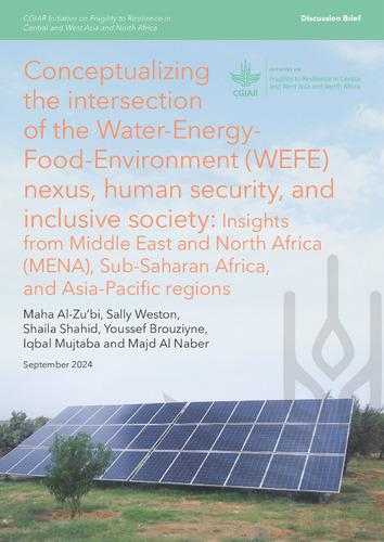 Conceptualizing the intersection of the Water-Energy-Food-Environment (WEFE) Nexus, human security, and inclusive society: insights from Middle East and North Africa (MENA), Sub-Saharan Africa, and Asia-Pacific regions