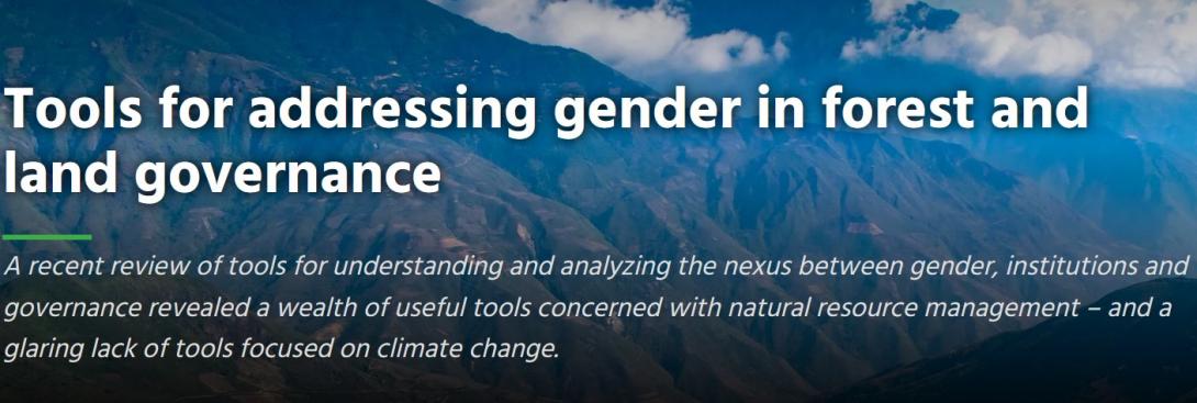 Tools for addressing gender in forest and land governance